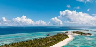 LEGENDARY CHEF JANICE WONG TO CREATE ‘EDIBLE’ MALDIVIAN-THEMED ART OZEN LIFE MAADHOO