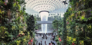 Singapore achieves historical high in Tourism Receipts in 2024