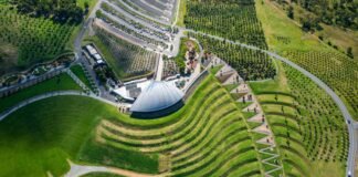 Culture, Wine, and Wildlife: A 3-Day Itinerary for the Ultimate Canberra Adventure!