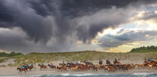 (RE) DISCOVER VIRGINIA!