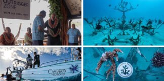 Castaway Island, Fiji, launches sculptural Coral Gene Bank with Counting Coral in landmark reef restoration effort