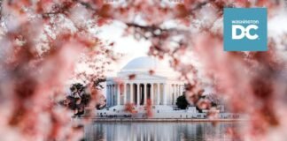 Destination DC Unveils 2026 Strategies to Elevate Tourism and Showcase the Nation’s Capital