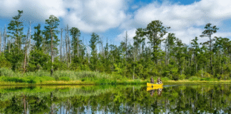 Travel South USA Appoints Sartha Global Marketing as India Representative to Promote Southern U.S. Tourism