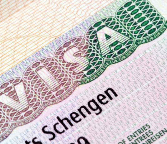 EU Rolls Out Digital Schengen Visa With 2D Barcode for Faster Processing and Real-Time Border Checks