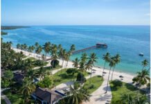 The Season of Splendor: Festive celebrations around the world