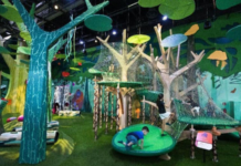 Curiosity Cove Singapore: Asia’s Largest Indoor Nature-Inspired Playscape Opens at Mandai Wildlife Reserve