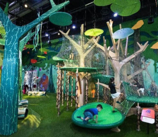 Curiosity Cove Singapore: Asia’s Largest Indoor Nature-Inspired Playscape Opens at Mandai Wildlife Reserve