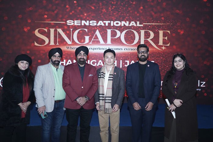 travelbullz website image