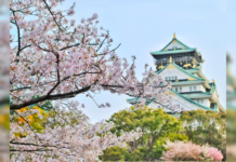 Indian Arrivals to Japan Surpass 300,000 in 2025 as Luxury and Experience-Led Travel Accelerates