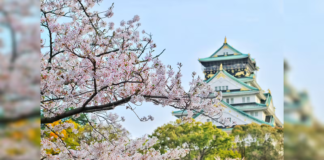 Indian Arrivals to Japan Surpass 300,000 in 2025 as Luxury and Experience-Led Travel Accelerates