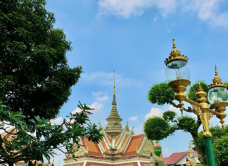 Thailand Tourism Outlook 2026: Stability, Experience Depth and the Power of Return Travel