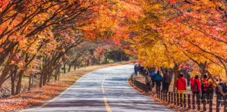 South Korea Fast-Tracks Inbound Tourism Goal to 30 Million Visitors by 2028