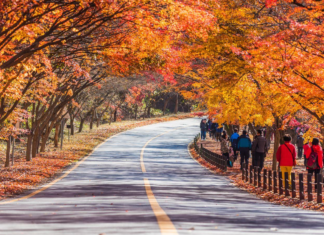 South Korea Fast-Tracks Inbound Tourism Goal to 30 Million Visitors by 2028