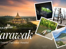 Sarawak Calling: Borneo’s Untamed Jewel Beckons Indian Explorers