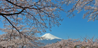 Indian Tourist Arrivals to Japan Surge 18.3% in First Four Months of 2026 Despite Global Travel Headwinds