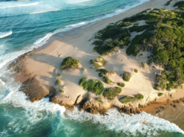 VFS Global Powers Mozambique’s Digital e-Visa Rollout Across 183 Countries to Boost Tourism and Investment