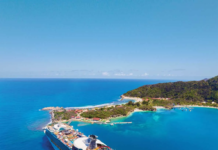 Royal Caribbean to offer year-round sailings from Singapore from October