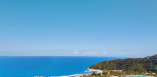 Royal Caribbean to offer year-round sailings from Singapore from October