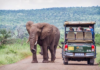 South Africa Welcomes 5.58 Million International Tourists in H1 2026, Up 12.3%