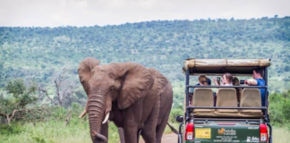 South Africa Welcomes 5.58 Million International Tourists in H1 2026, Up 12.3%