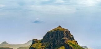 Palakollu Travel Guide: