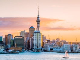 New Zealand to End Paper Applications for Selected Visitor and Transit Visas From October 1