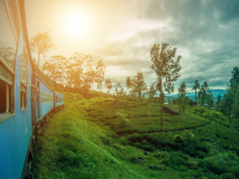 Sri Lanka Shifts Tourism Strategy Towards Higher-Value Growth with US$200 Million World Bank Support