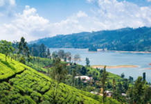 Sri Lanka Pivots Towards Higher-Value Tourism as Colombo Project Takes Shape