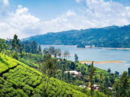 Sri Lanka Pivots Towards Higher-Value Tourism as Colombo Project Takes Shape