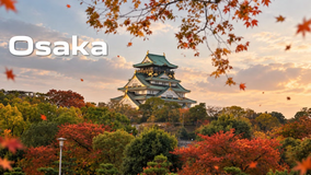 Air India to Launch Non-stop Delhi–Osaka Flights in February 2027