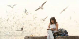 Geopolitical instability tests global tourism resilience as travel growth slows