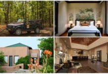 Brij Tara opens luxury retreat in Ranthambore, blending wildlife and heritage